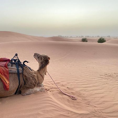فندق Erg Chebbi Sahara Camp مرزوكة المظهر الخارجي الصورة